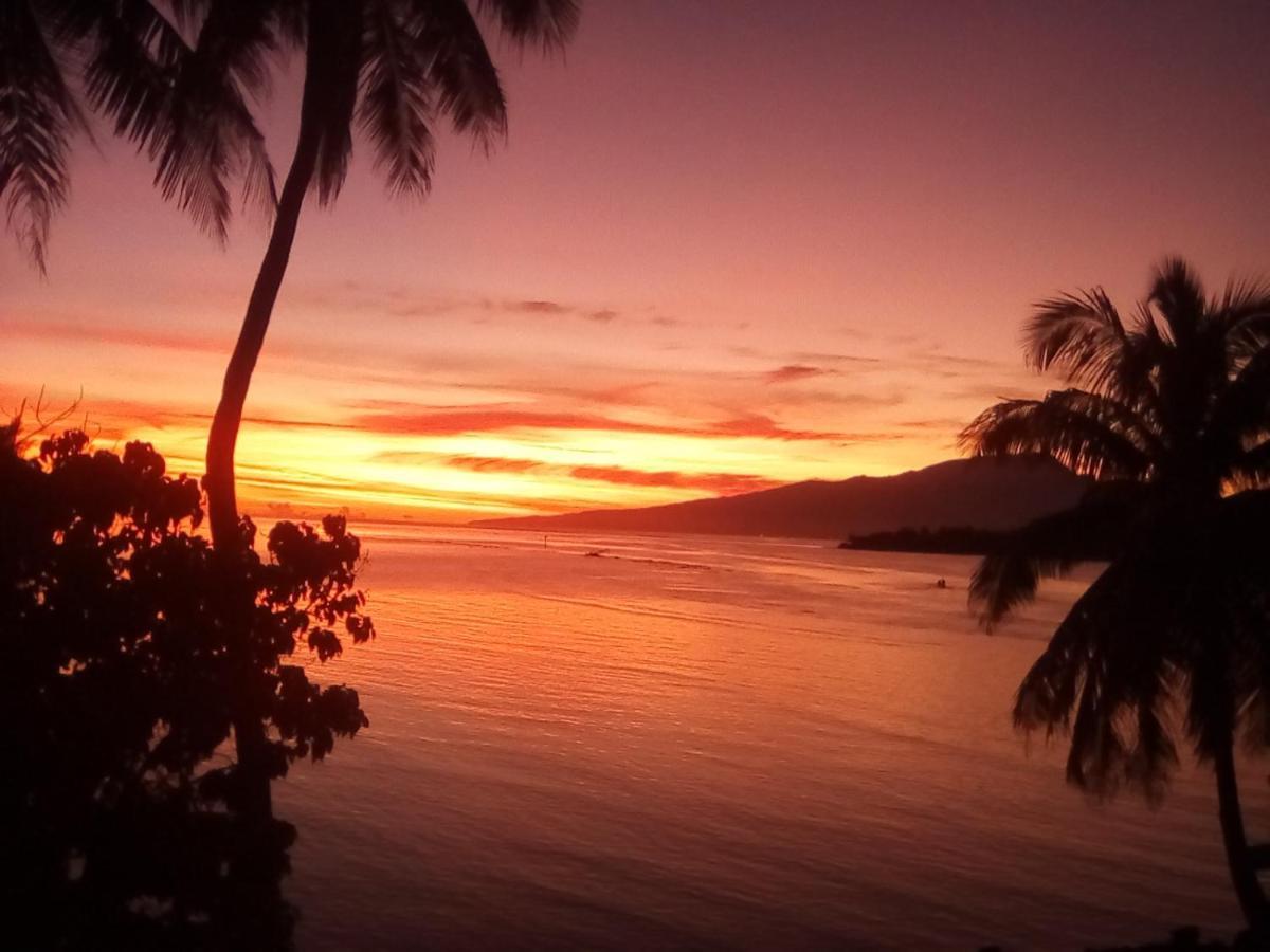 Bungalow Vue Lagon 180 Degre, La Maison Bleue Moorea Eksteriør bilde
