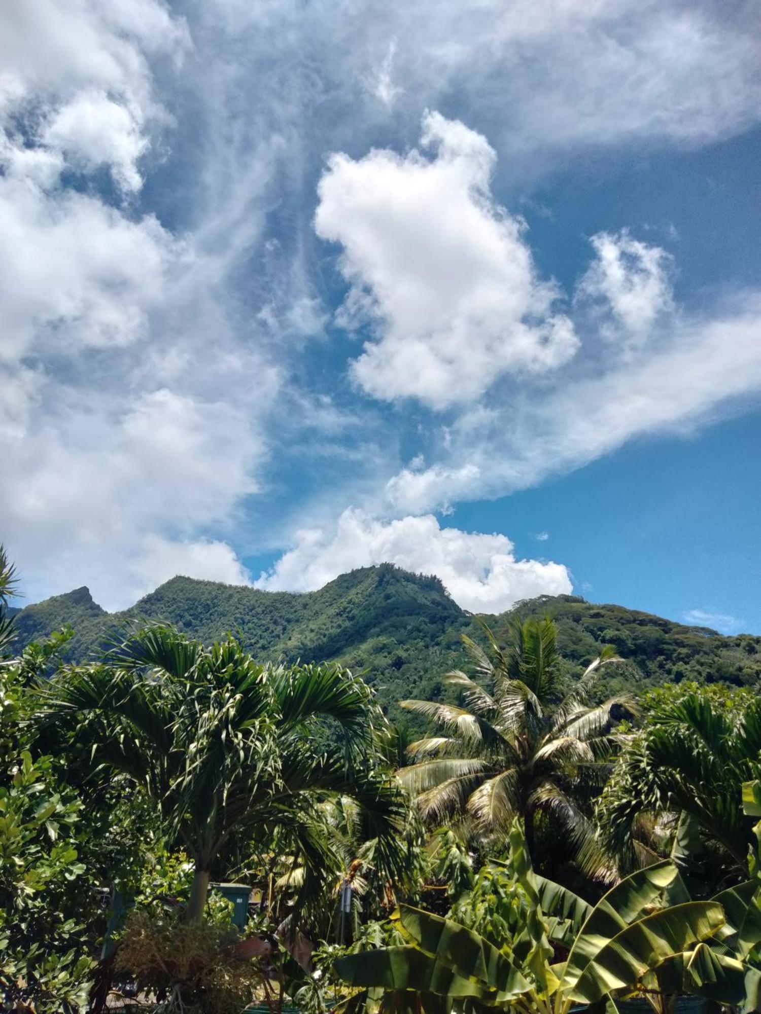 Bungalow Vue Lagon 180 Degre, La Maison Bleue Moorea Rom bilde