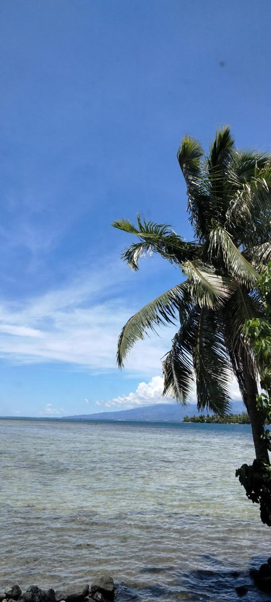 Bungalow Vue Lagon 180 Degre, La Maison Bleue Moorea Eksteriør bilde
