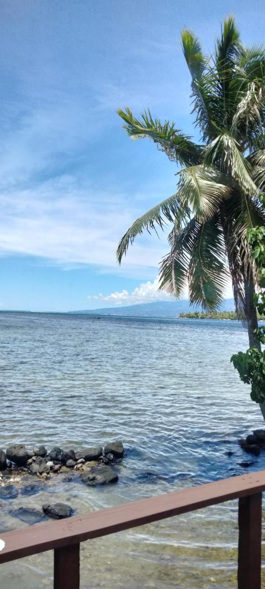 Bungalow Vue Lagon 180 Degre, La Maison Bleue Moorea Eksteriør bilde