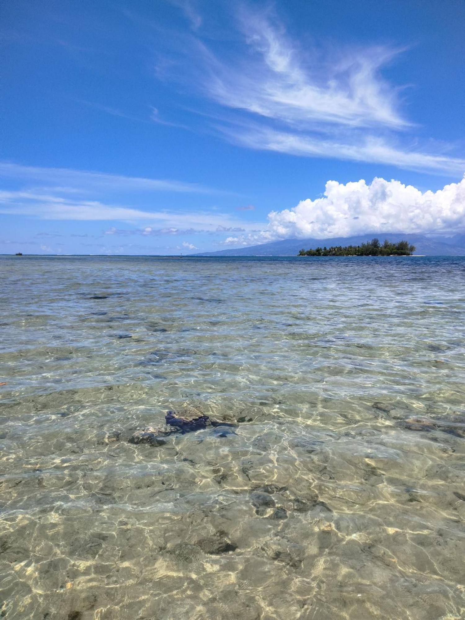 Bungalow Vue Lagon 180 Degre, La Maison Bleue Moorea Eksteriør bilde